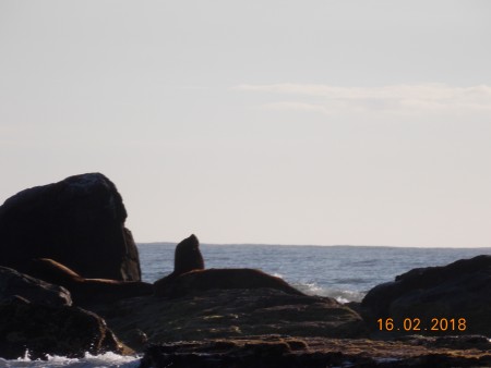 Refgio de Vida Silvestre da Ilha dos Lobos 