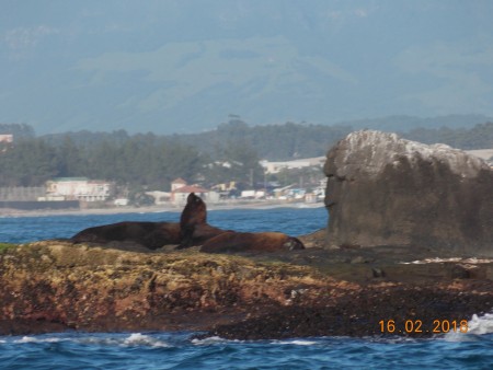 Refgio de Vida Silvestre da Ilha dos Lobos 