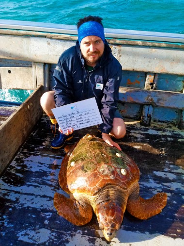 Projeto Pinpedes do Sul realiza embarque para monitorar interaes de animais marinhos com pesca de arrasto