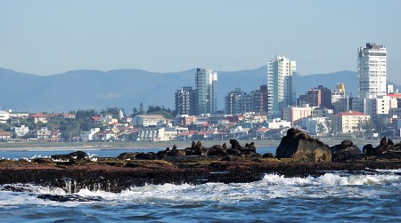 Refgio de Vida Silvestre da Ilha dos Lobos 