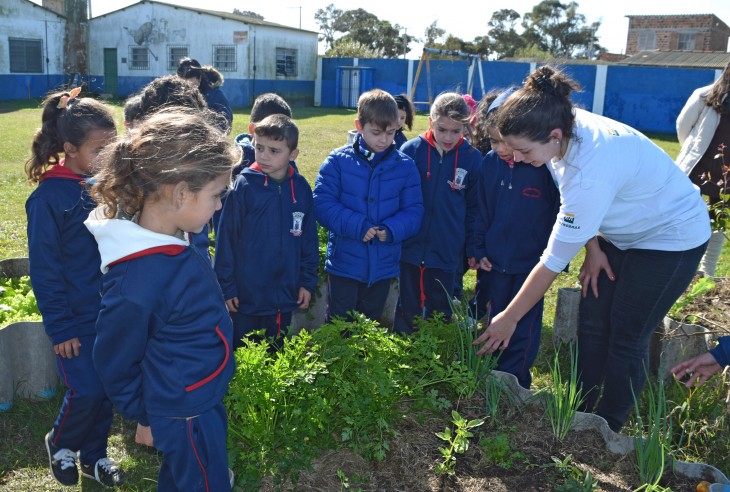 Projeto Pinpedes do Sul realiza atividades de colheita na Escola Ramiz Galvo