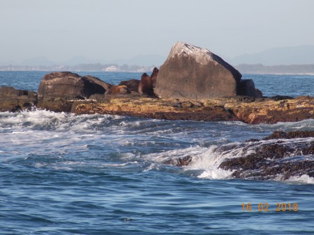 Refgio de Vida Silvestre da Ilha dos Lobos 