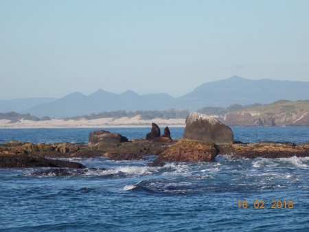 Refgio de Vida Silvestre da Ilha dos Lobos 