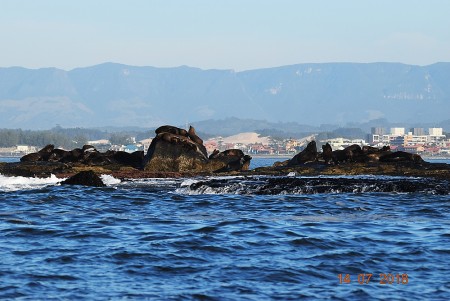 Refgio de Vida Silvestre da Ilha dos Lobos 