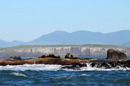 Refgio de Vida Silvestre da Ilha dos Lobos 