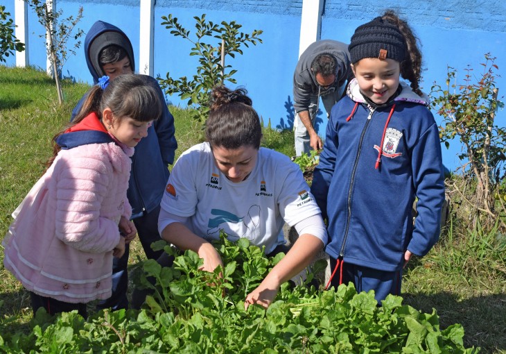 Projeto Pinpedes do Sul realiza atividades de colheita na Escola Ramiz Galvo